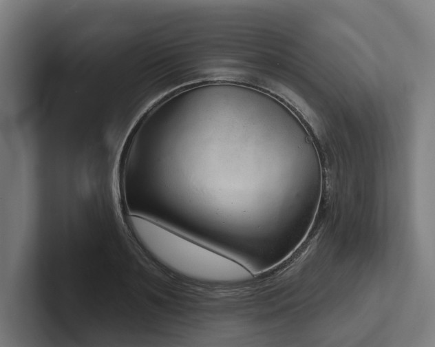 X0000102400891200808011544