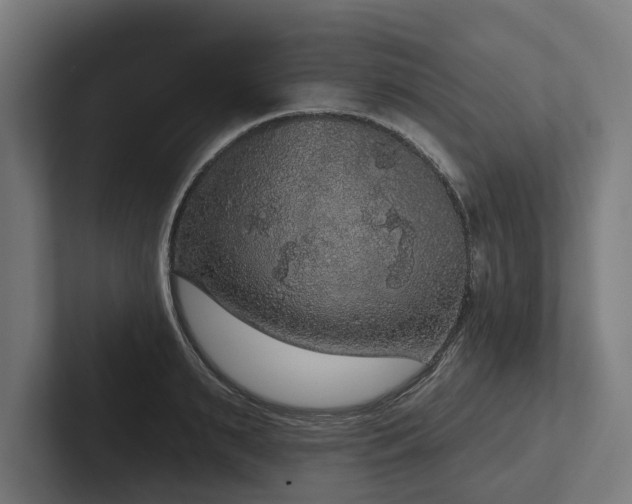 X0000102400895200808011544