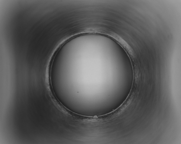 X0000102400896200808011544