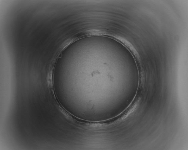 X0000102400897200808011544