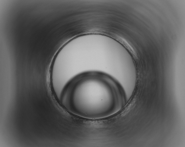 X0000102400900200808011544