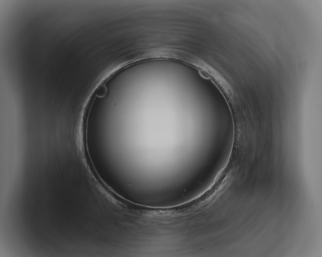 X0000102400902200808011544