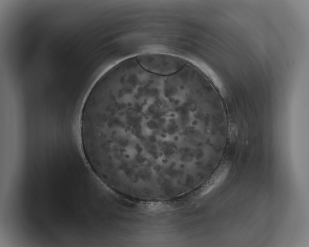 X0000102400903200808011544