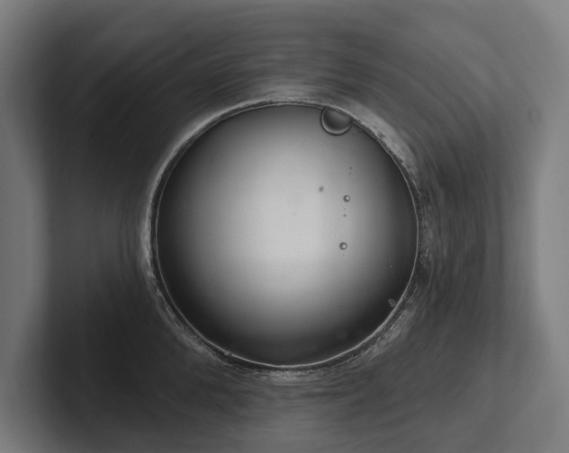X0000102400904200808011544