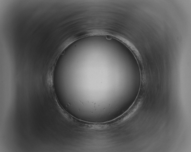X0000102400905200808011544