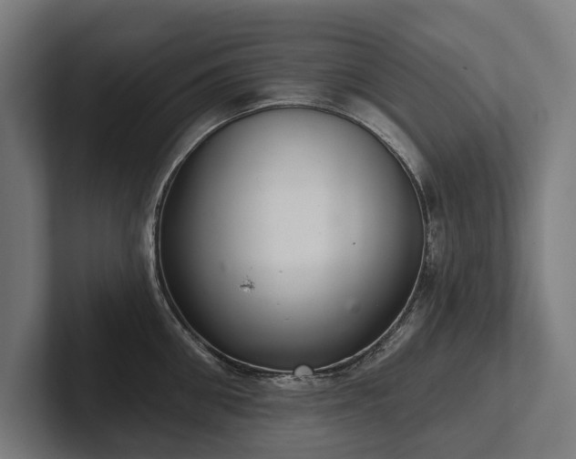 X0000102400906200808011544