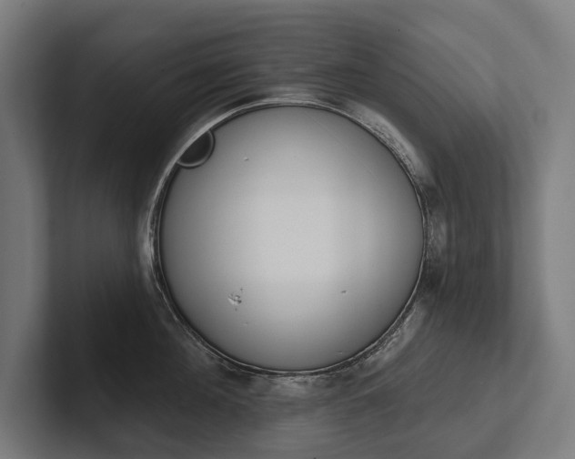 X0000102400908200808011544