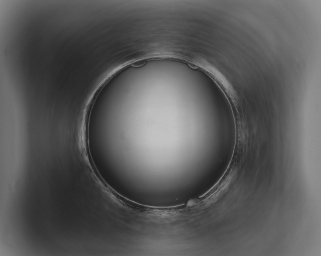 X0000102400910200808011544