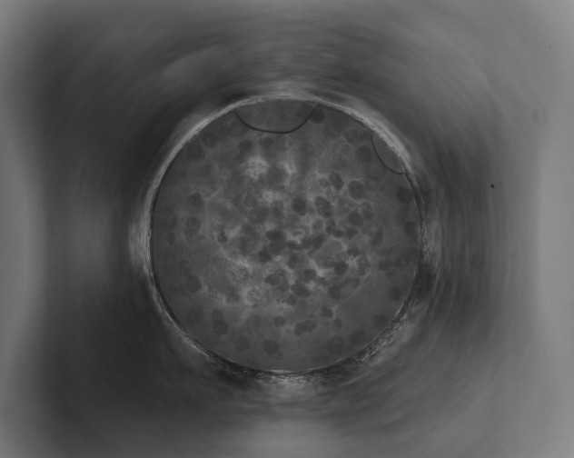 X0000102400911200808011544