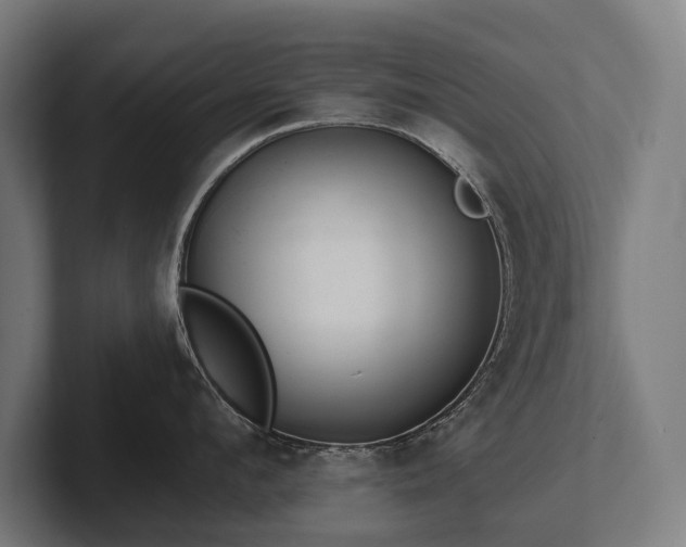 X0000102400912200808011544