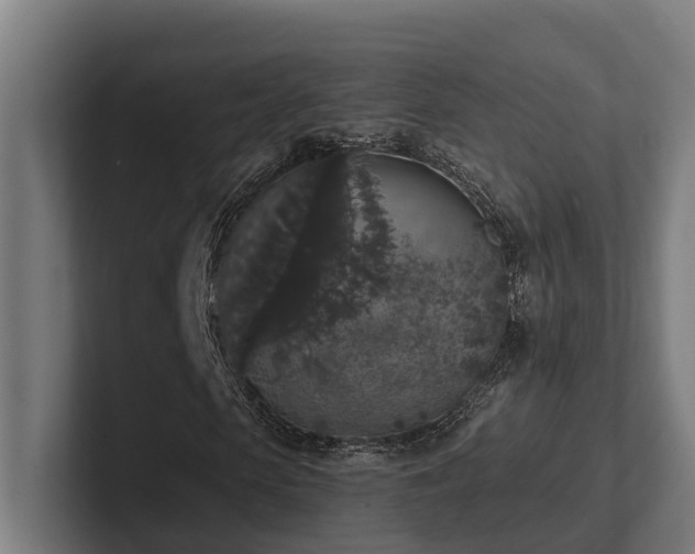 X0000102400913200808011543
