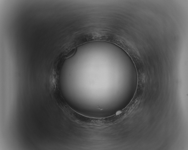X0000102400914200808011543