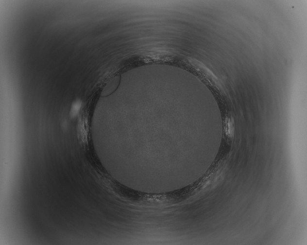 X0000102400915200808011543