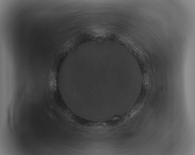 X0000102400916200808011543