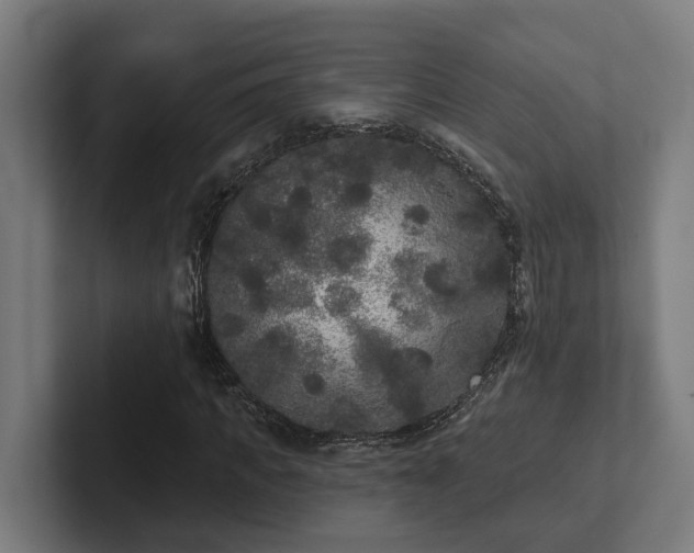 X0000102400917200808011543