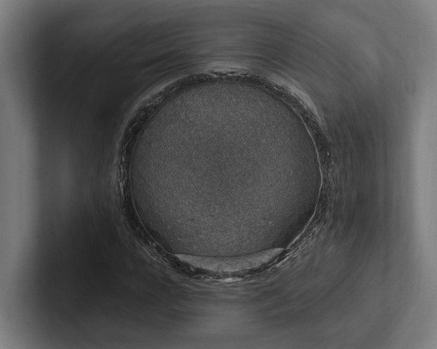 X0000102400920200808011543