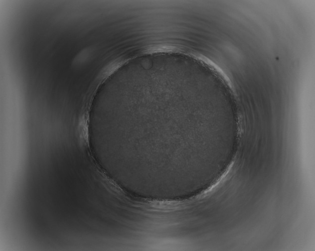 X0000102400921200808011543