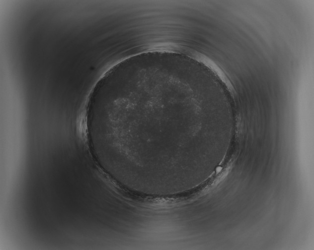 X0000102400923200808011543