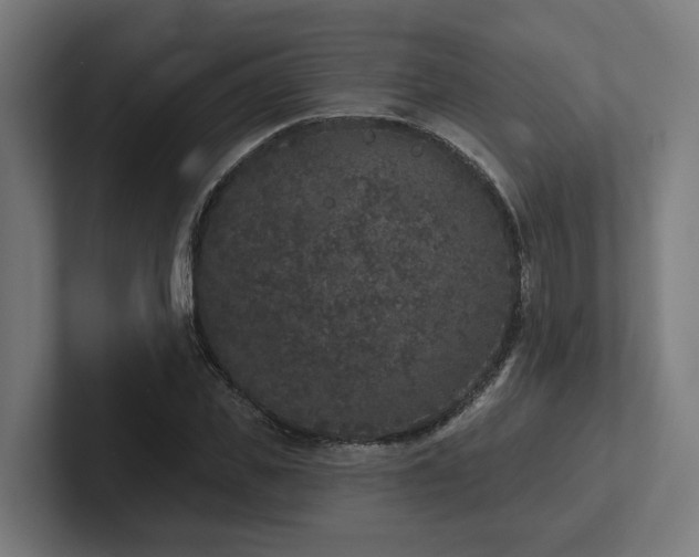 X0000102400925200808011543