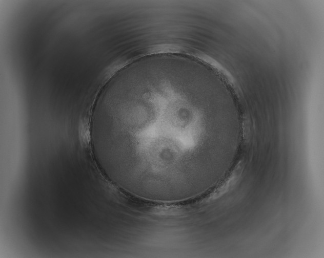 X0000102400929200808011543