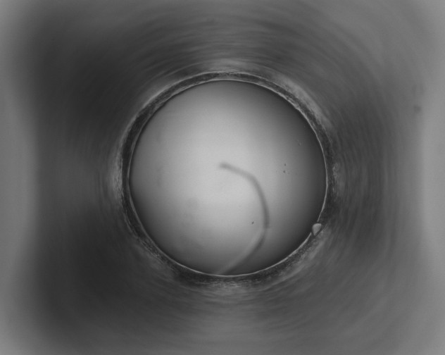 X0000102400931200808011543