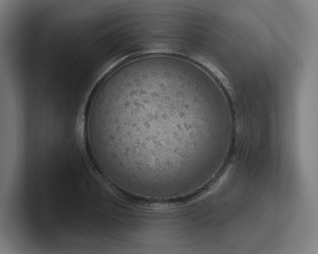 X0000102400933200808011543