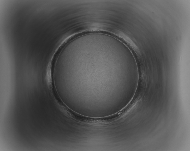 X0000102400934200808011543