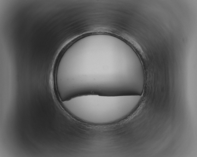 X0000102400936200808011544