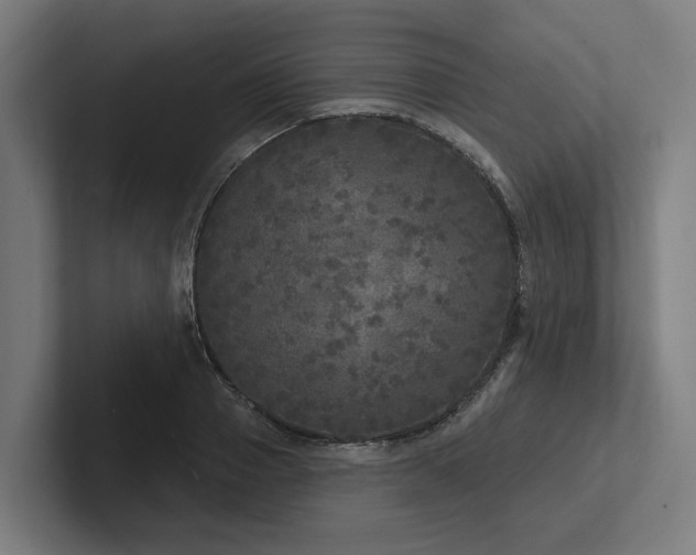 X0000102400937200808011544