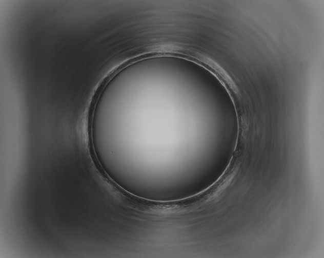 X0000102400939200808011544