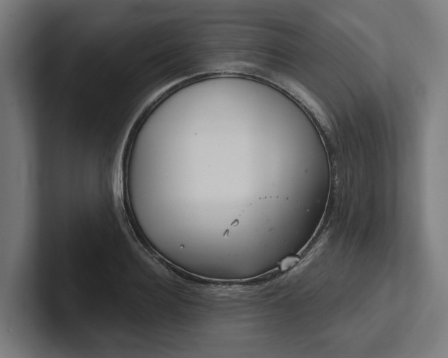 X0000102400940200808011544