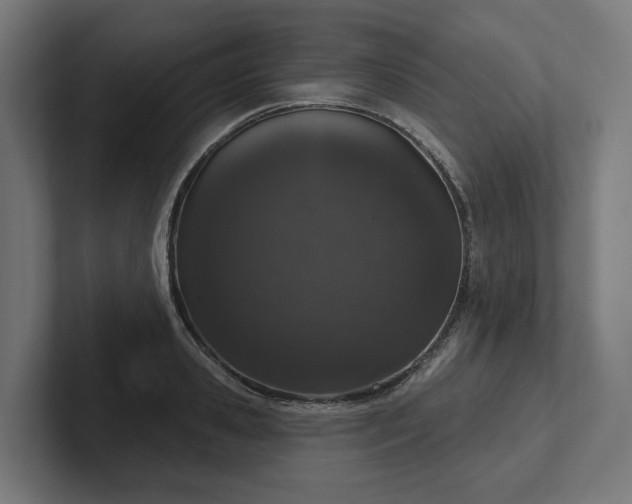 X0000102400941200808011544