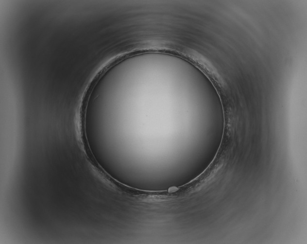 X0000102400942200808011544