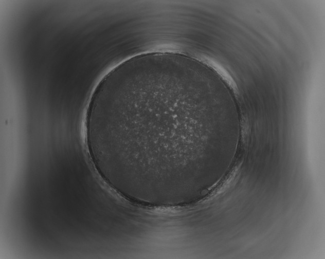 X0000102400944200808011544