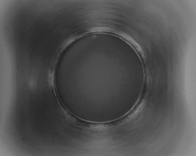X0000102400945200808011544