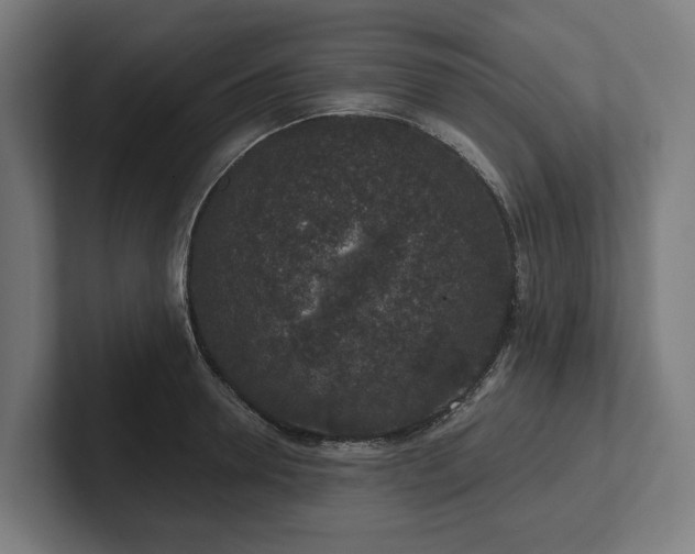 X0000102400946200808011544
