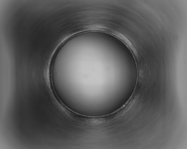 X0000102400947200808011544