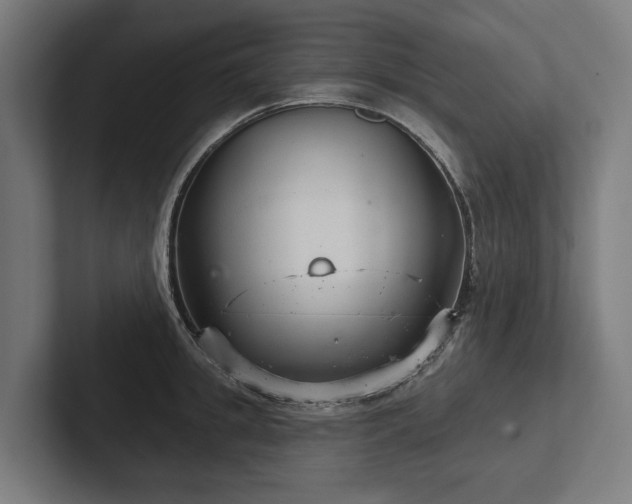 X0000102400949200808011544