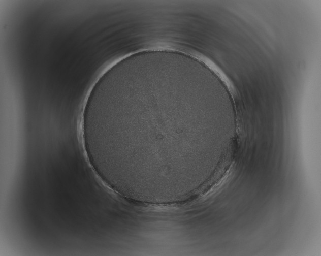 X0000102400951200808011544