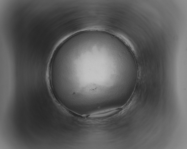 X0000102400952200808011544
