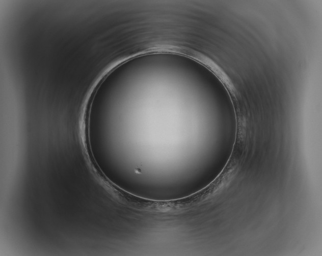X0000102400955200808011544