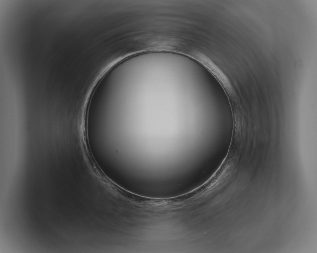 X0000102400956200808011544