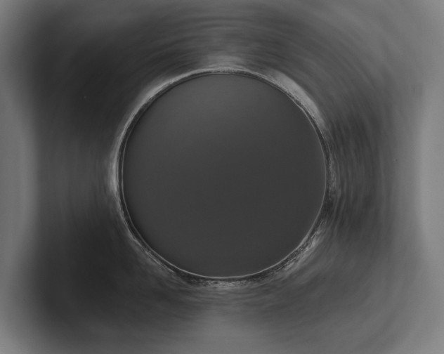 X0000102400958200808011544