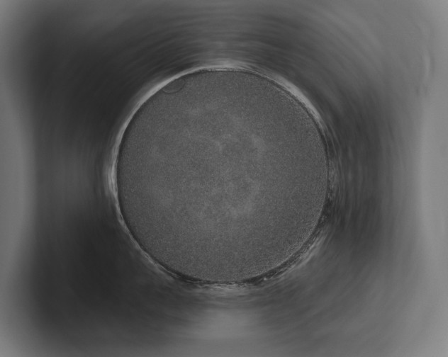X0000102400959200808011544