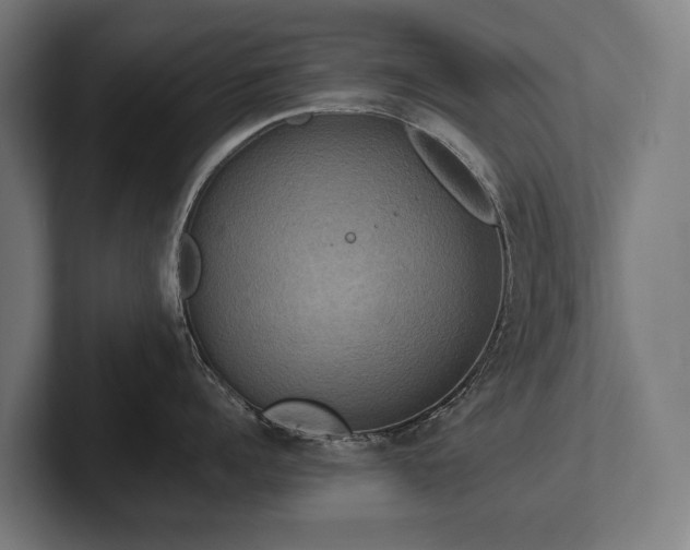 X0000102400960200808011544