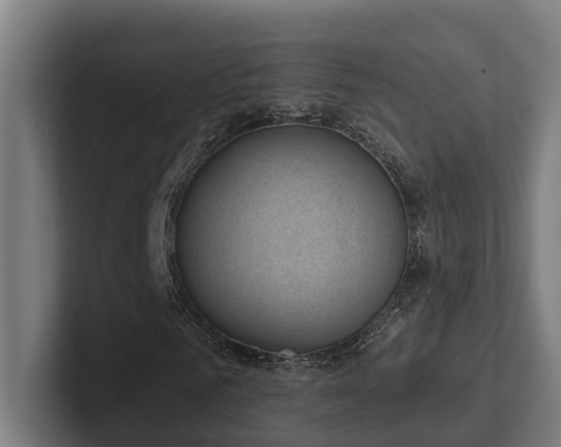 X0000102400961200808011543