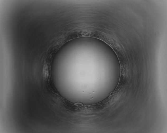 X0000102400962200808011543