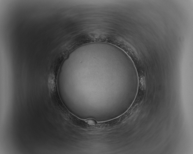 X0000102400963200808011543