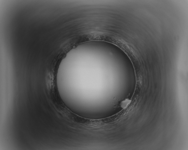 X0000102400964200808011543
