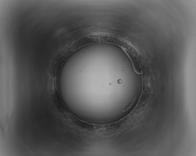 X0000102400965200808011543